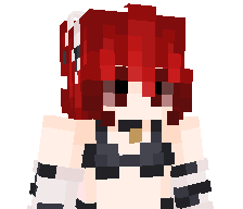 XaUi3516's skin