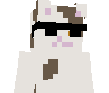 LilWiseCat's skin