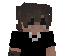 C4ST's skin
