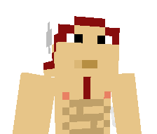 WPOLOMAN's skin