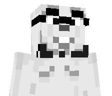 SkibidiDopGaming's skin