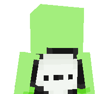 DallasGamerYT's skin