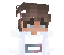 Wilbian_YT's skin