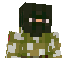 ScandiViking17's skin