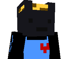 ShazPlays's skin