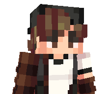 Flxzr's skin
