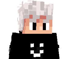 _skyzzzz's skin