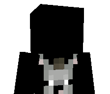 Minycrafterman's skin
