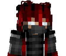 Ninjadapro217's skin