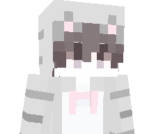 Ns_SS's skin