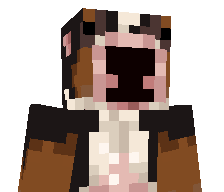 jitgaming4354's skin