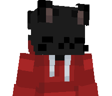 Sanic2131's skin