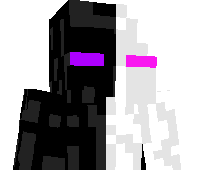 iGarrix's skin