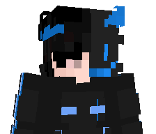 zgamer_1's skin
