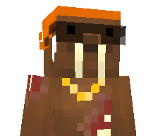Kub1iK's skin