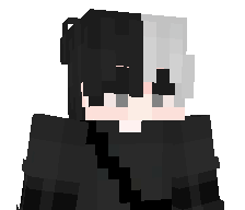 FlyinAssassin's skin