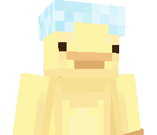 TaruCraft's skin