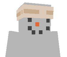 LIGHTNING1x's skin