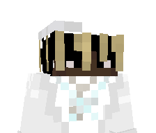 nddd's skin