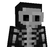 LILDRS's skin