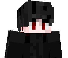 RadoPvP's skin