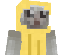 LIONELANDRESRONI's skin