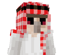 DD12DD13D's skin