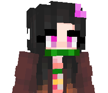 Nezuko_11's skin