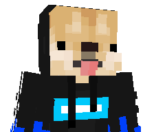 radex5621's skin