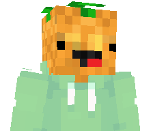 AnanasBlock3889's skin
