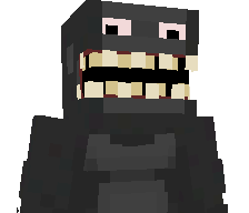 Ninja_Bomb777's skin
