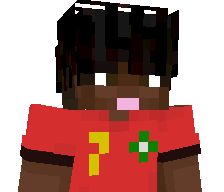 Robin0_'s skin