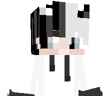 surfiks's skin