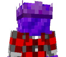 netherzz's skin