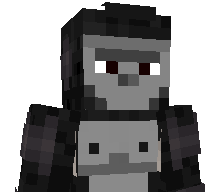 racona's skin