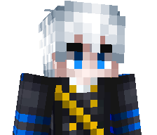 600c's skin