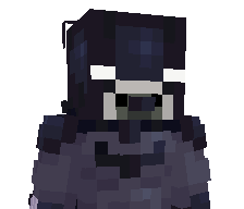 Netopircek's skin