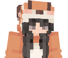 RokaPlayZ's skin
