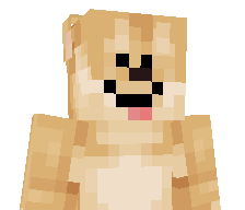 DogeeMann's skin