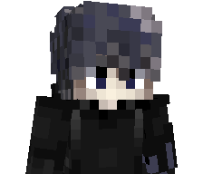 playertracker's skin