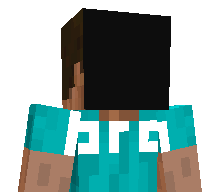 songsdontsing's skin