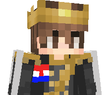 DragonsKID1's skin