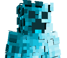 BBX_Robin's skin