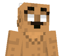 Mr_Minecraft1324's skin