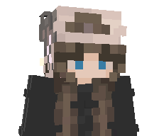 51ZL's skin