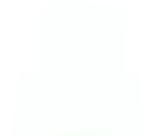 Shrekjejesus's skin