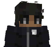 V_1X__'s skin