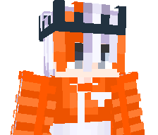 Shneeeebly's skin