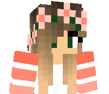 Paulix_HD's skin