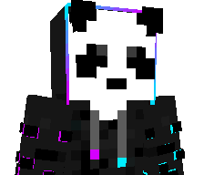 Blockpanda123456's skin